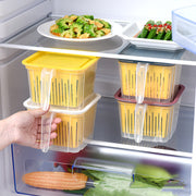 Refrigerator Double-layer Fruit And Vegetable Food Storage Container With Lid Drain And Refrigerate Mein Shop