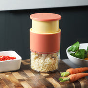 Push Type Garlic Press Complementary Food Mashed Garlic Meat Slicer Mein Shop