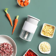 Push Type Garlic Press Complementary Food Mashed Garlic Meat Slicer Mein Shop